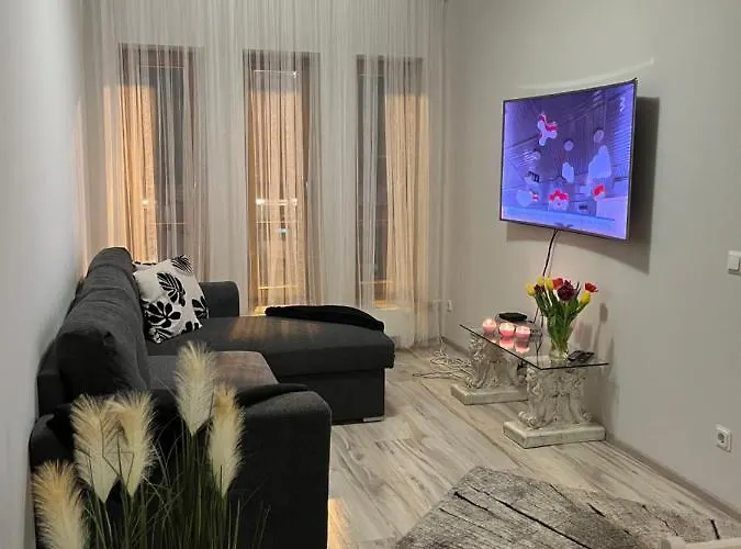 Appartement Hommiku 4 *